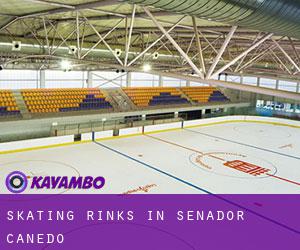 Skating Rinks in Senador Canedo