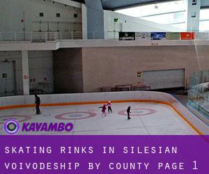 Skating Rinks in Silesian Voivodeship by County - page 1