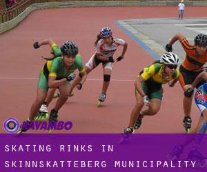 Skating Rinks in Skinnskatteberg Municipality