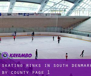 Skating Rinks in South Denmark by County - page 1