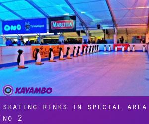 Skating Rinks in Special Area No. 2