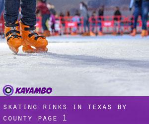 Skating Rinks in Texas by County - page 1