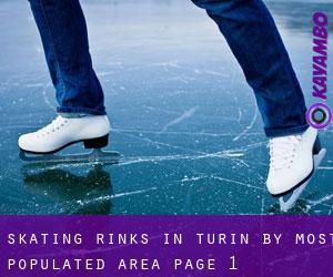 Skating Rinks in Turin by most populated area - page 1