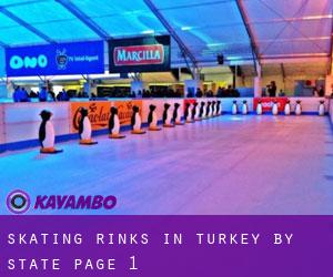 Skating Rinks in Turkey by State - page 1