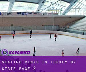Skating Rinks in Turkey by State - page 2