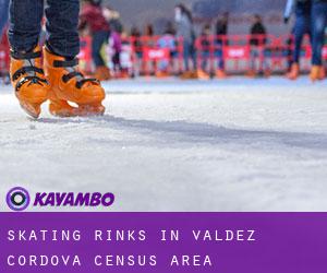 Skating Rinks in Valdez-Cordova Census Area