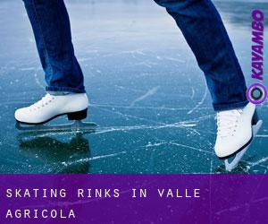 Skating Rinks in Valle Agricola