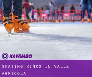 Skating Rinks in Valle Agricola