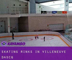Skating Rinks in Villeneuve-d'Ascq Skating Rinks in Villeneuve-d'Ascq