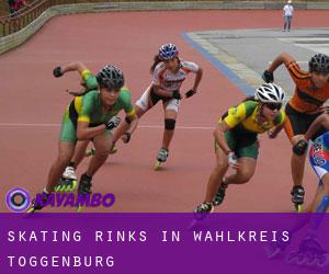 Skating Rinks in Wahlkreis Toggenburg