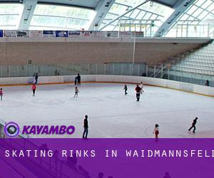 Skating Rinks in Waidmannsfeld