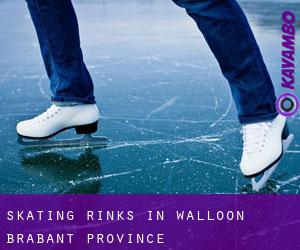 Skating Rinks in Walloon Brabant Province