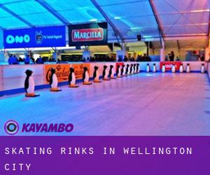 Skating Rinks in Wellington City
