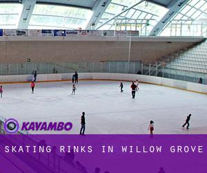 Skating Rinks in Willow Grove