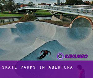 Skate Parks in Abertura