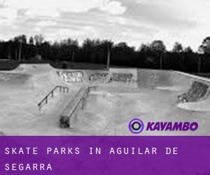 Skate Parks in Aguilar de Segarra