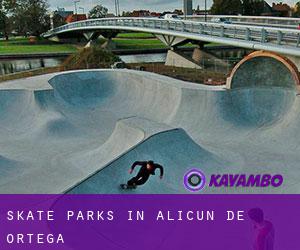 Skate Parks in Alicún de Ortega