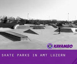 Skate Parks in Amt Luzern