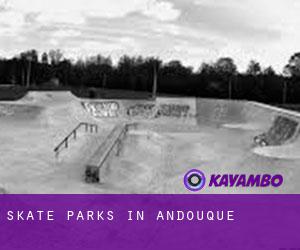 Skate Parks in Andouque