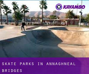 Skate Parks in Annaghneal Bridges