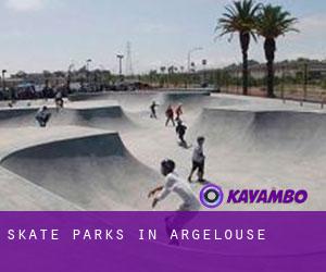 Skate Parks in Argelouse