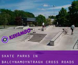 Skate Parks in Balcynamoyntragh Cross Roads