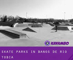 Skate Parks in Baños de Río Tobía