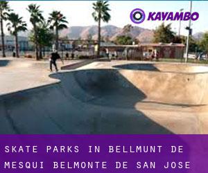 Skate Parks in Bellmunt de Mesquí / Belmonte de San José