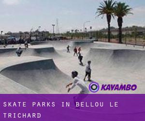 Skate Parks in Bellou-le-Trichard