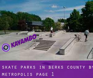 Skate Parks in Berks County by metropolis - page 1