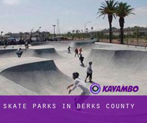 Skate Parks in Berks County