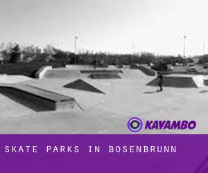 Skate Parks in Bösenbrunn