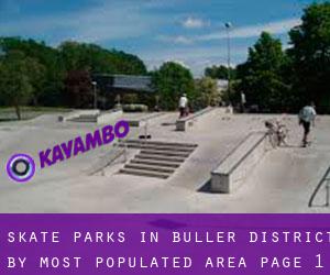 Skate Parks in Buller District by most populated area - page 1