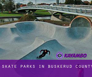 Skate Parks in Buskerud county