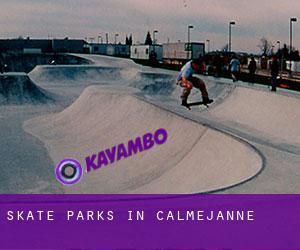 Skate Parks in Calmejanne