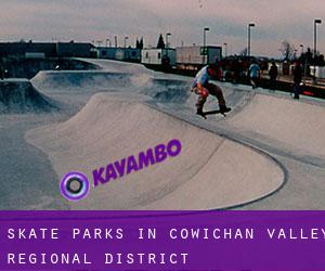 Skate Parks in Cowichan Valley Regional District