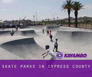 Skate Parks in Cypress County