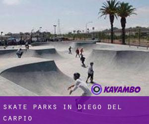 Skate Parks in Diego del Carpio