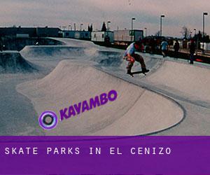 Skate Parks in El Cenizo