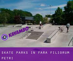Skate Parks in Fara Filiorum Petri Skate Parks in Fara Filiorum Petri