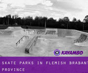 Skate Parks in Flemish Brabant Province