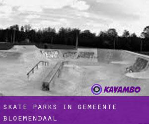 Skate Parks in Gemeente Bloemendaal