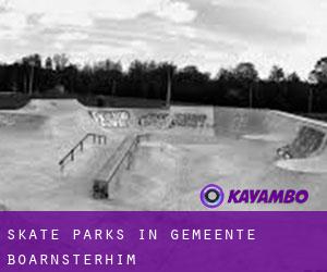 Skate Parks in Gemeente Boarnsterhim