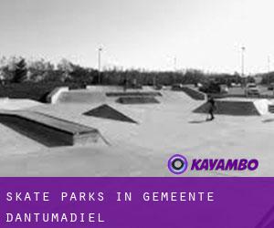 Skate Parks in Gemeente Dantumadiel Skate Parks in Gemeente Dantumadiel
