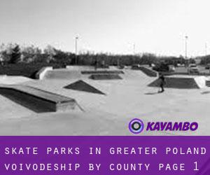 Skate Parks in Greater Poland Voivodeship by County - page 1