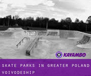 Skate Parks in Greater Poland Voivodeship