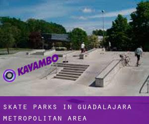 Skate Parks in Guadalajara Metropolitan Area