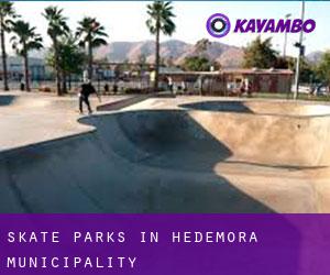 Skate Parks in Hedemora Municipality