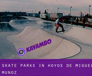 Skate Parks in Hoyos de Miguel Muñoz