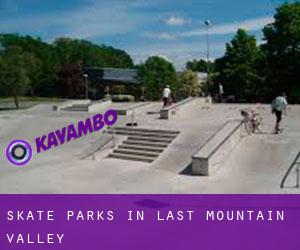 Skate Parks in Last Mountain Valley